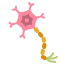 Neurologia
