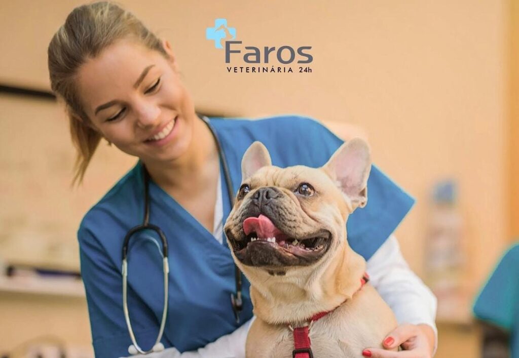 Venha com a Faros e entenda o que é a hematologia veterinária!