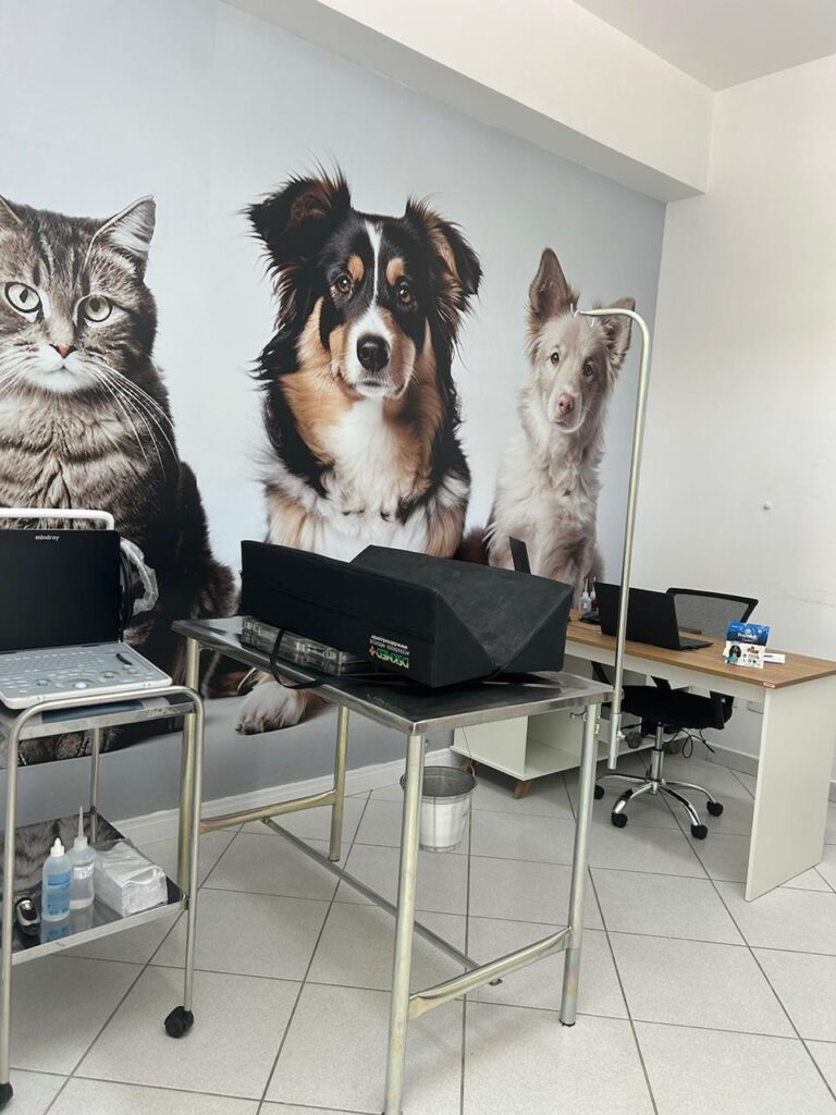 Conheça mais sobre os exames e tratamentos veterinários oferecidos na Faros!