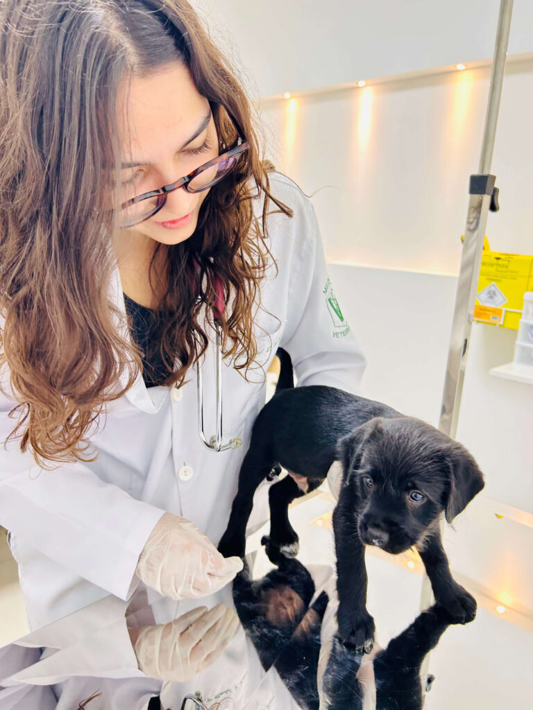 Clínica veterinária