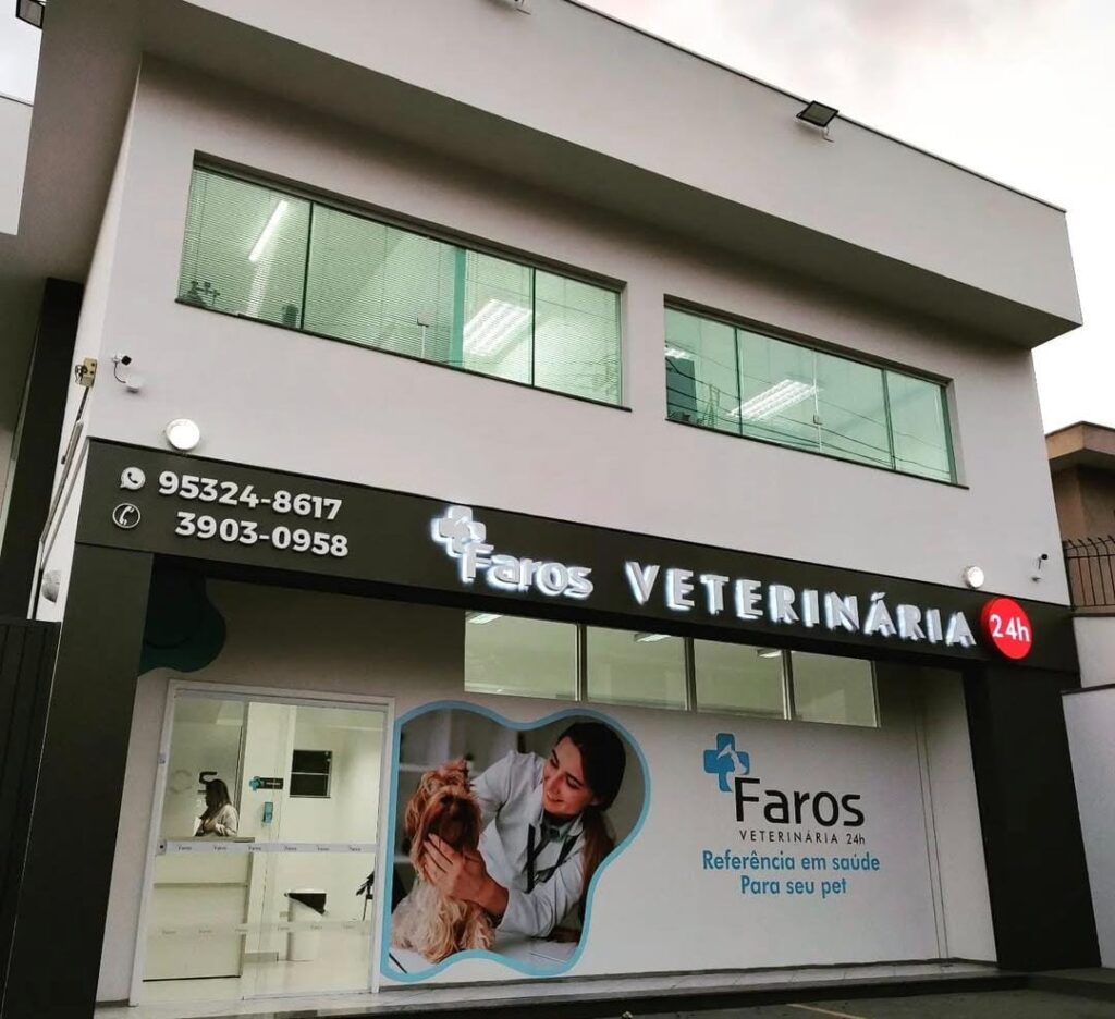 Entenda a diferença entre clínica geral e especialista veterinário!