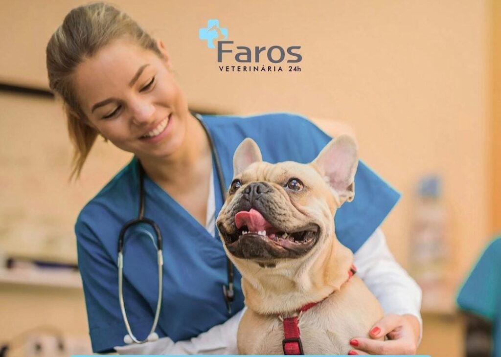 Entenda como investir na longevidade do pet com a Faros!